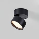 Opbouw plafondlamp Savvina