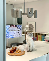 Cirkus Kroonluchter - Stralend thuis Amsterdam