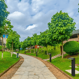 Lavie Zonne Tuinlamp - Stralend thuis Amsterdam