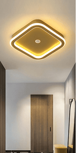 Menselijke PIR Motion Sensor LED Plafondlamp - Stralend thuis Amsterdam