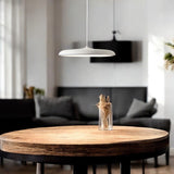 Skandinavische stijl hanglamp