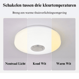 Plafondlamp met Speaker