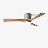 Houten Plafondventilatorlamp