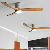 Houten Plafondventilatorlamp