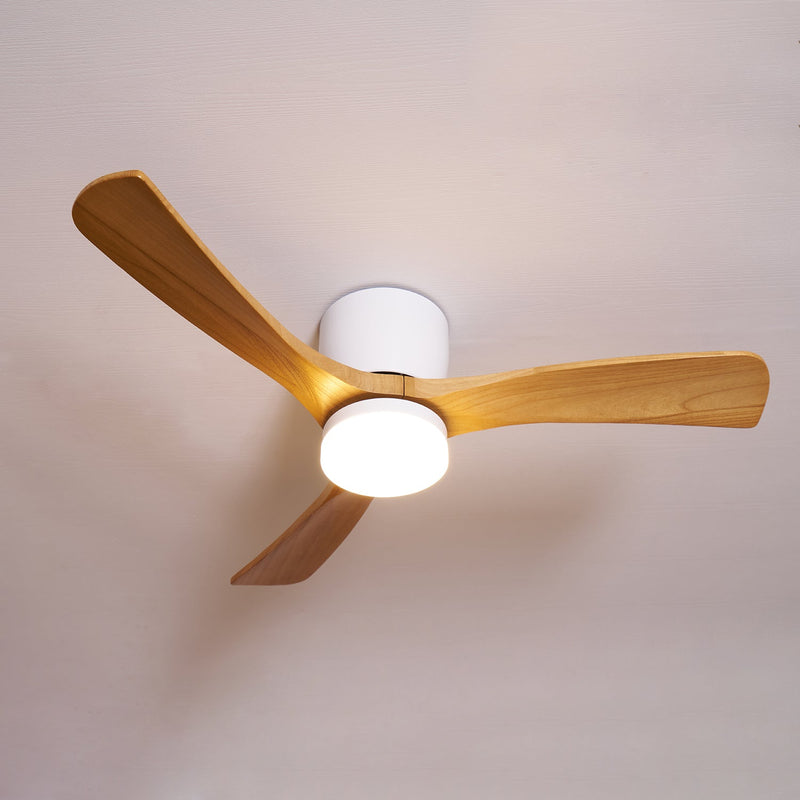 Houten Plafondventilatorlamp
