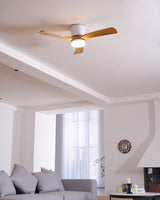 Houten Plafondventilatorlamp