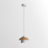 Stenen Houten Hanglamp