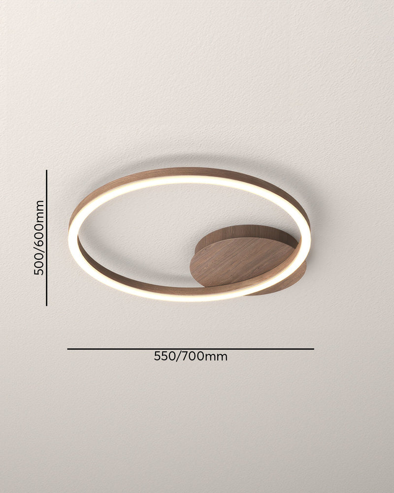 Elegant Ring Plafondarmatuur - Stralend thuis Amsterdam