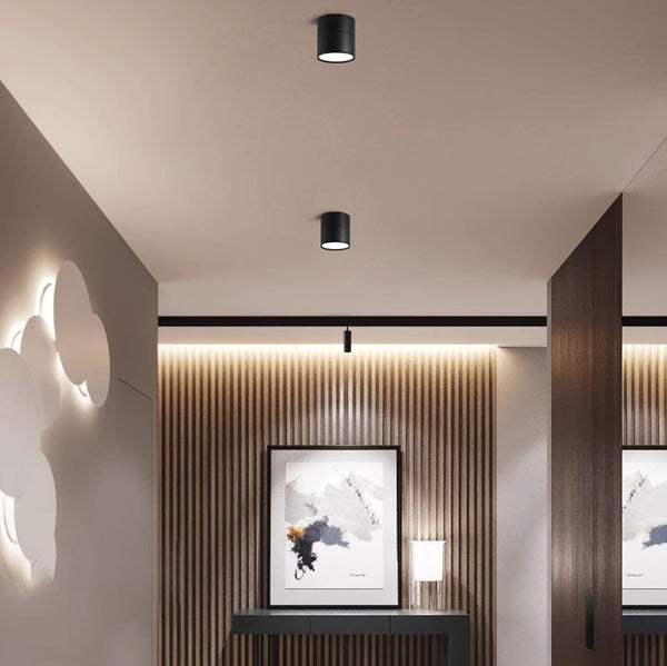 Favilla Oppervlakte Plafondlamp - Stralend thuis Amsterdam