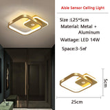 Menselijke PIR Motion Sensor LED Plafondlamp - Stralend thuis Amsterdam