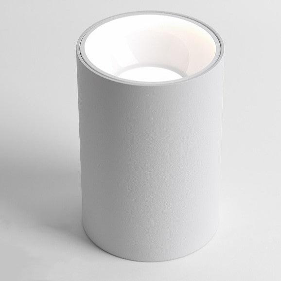 Ronde Cob Plafondlampen - Stralend thuis Amsterdam