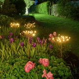 Wilde Venkel Lichten (6 - pack - Stralend thuis Amsterdam